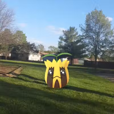 Howard Noble Park - Taylor,