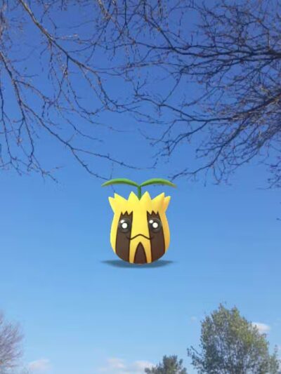 Howard Noble Park - Taylor,