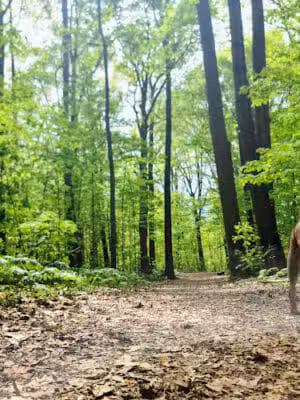 Heritage Park - Taylor,