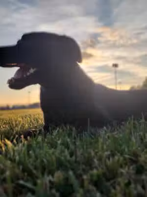 Rotary Park - Taylor,