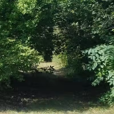 Rotary Park - Taylor,