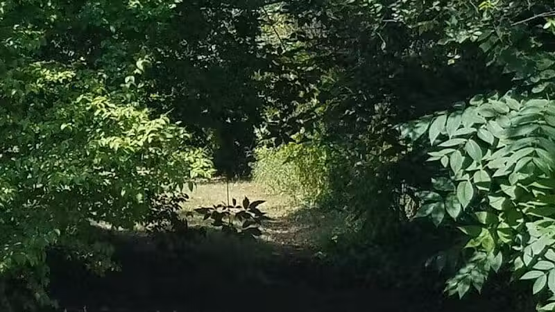 Rotary Park - Taylor,
