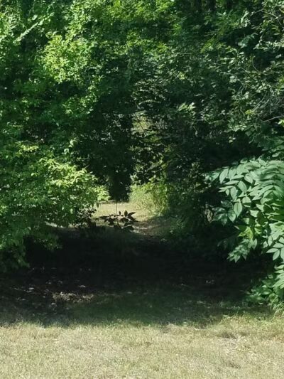 Rotary Park - Taylor,