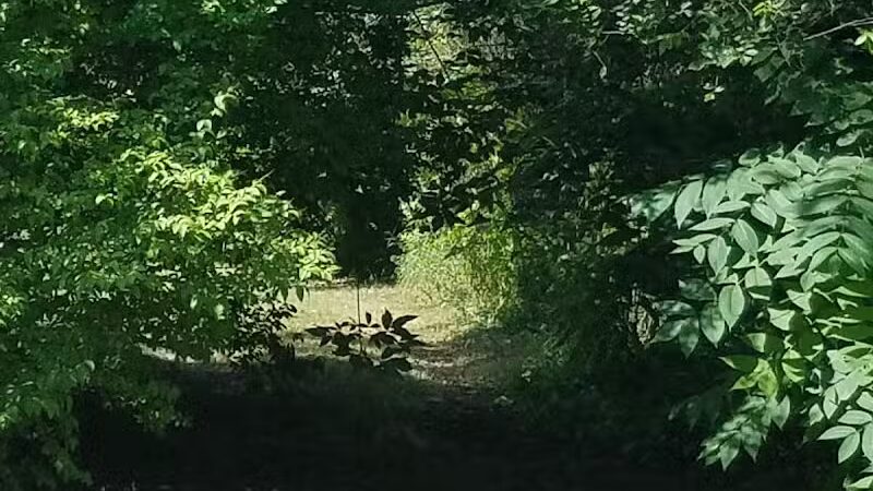 Rotary Park - Taylor,