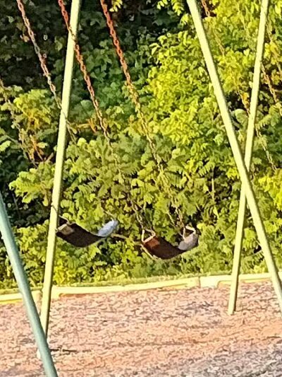 Rotary Park - Taylor,