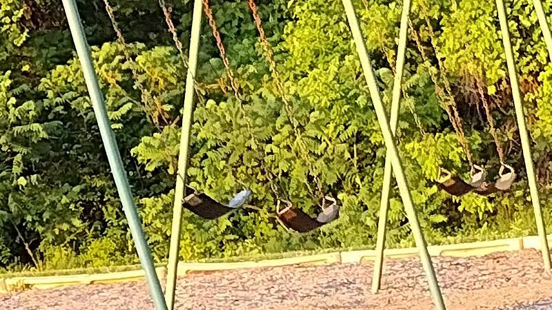 Rotary Park - Taylor,