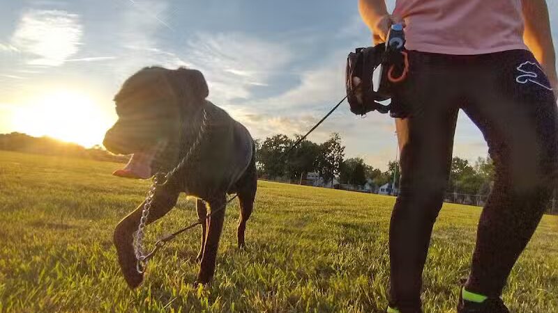 Rotary Park - Taylor,