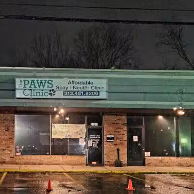 The Paws Clinic - Taylor,