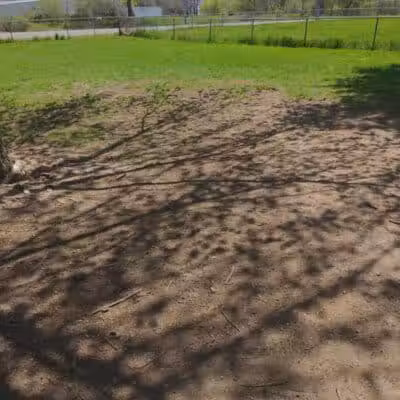 Dog Daze Park - Tecumseh, MI