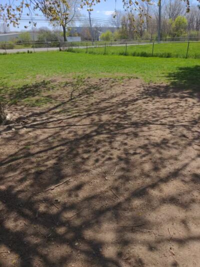 Dog Daze Park - Tecumseh, MI