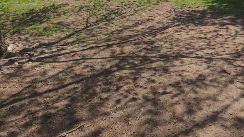 Dog Daze Park - Tecumseh, MI