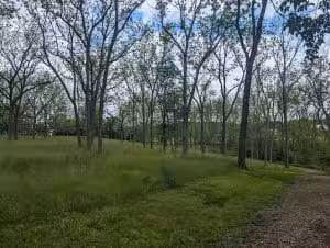 Chestnut Grove Park - Telford, PA