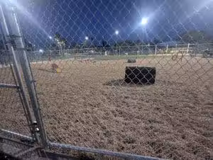Kiwanis Dog Park - Tempe, AZ