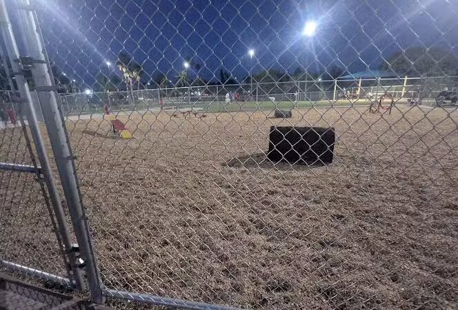 Kiwanis Dog Park - Tempe, AZ