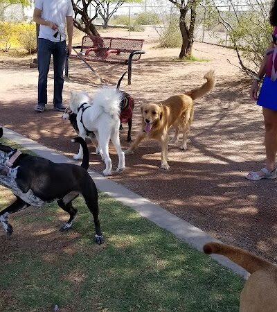 Tempe Sports Complex Dog Park - Tempe, AZ
