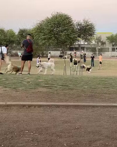 Tempe Sports Complex Dog Park - Tempe, AZ