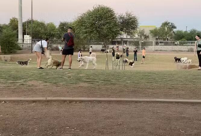 Tempe Sports Complex Dog Park - Tempe, AZ