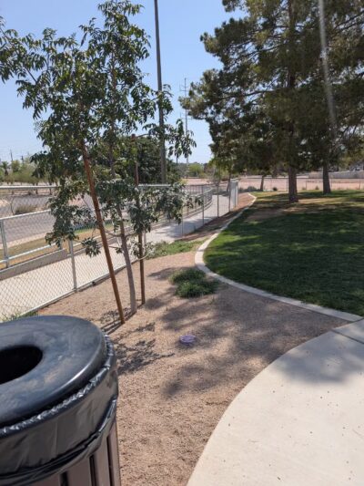 Kiwanis Dog Park - Tempe, AZ