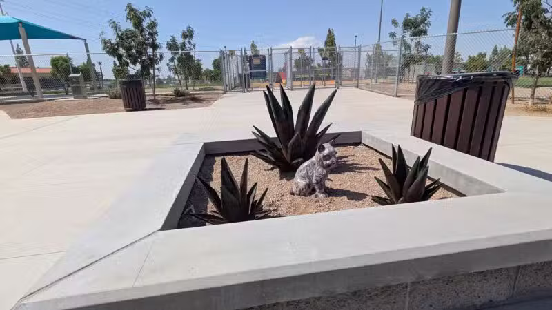 Kiwanis Dog Park - Tempe, AZ