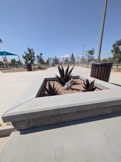 Kiwanis Dog Park - Tempe, AZ