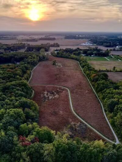 Ansted Park - Temperance,