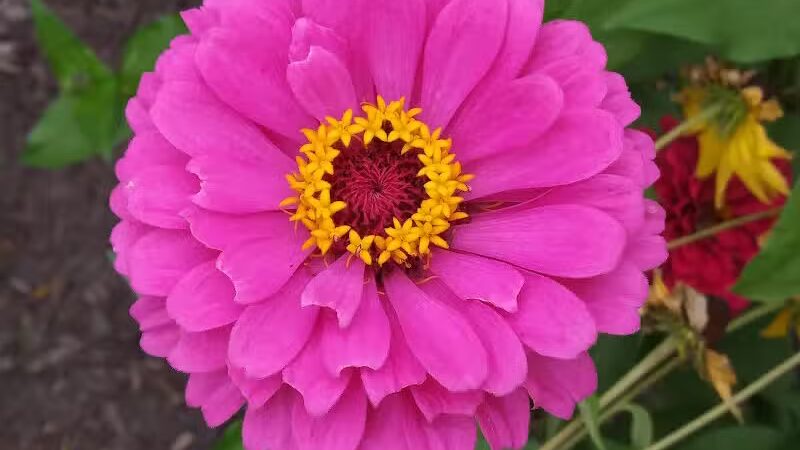 Ansted Park - Temperance,