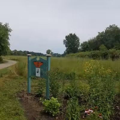 Ansted Park - Temperance,