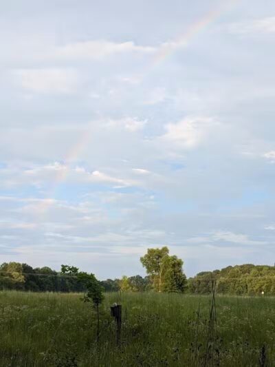 Ansted Park - Temperance,