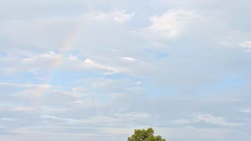 Ansted Park - Temperance,