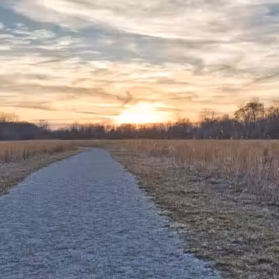 Ansted Park - Temperance,