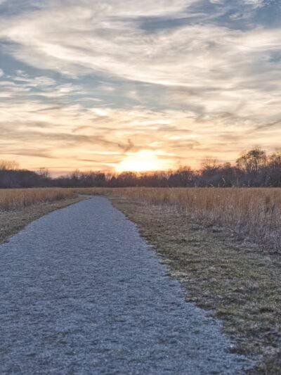 Ansted Park - Temperance,