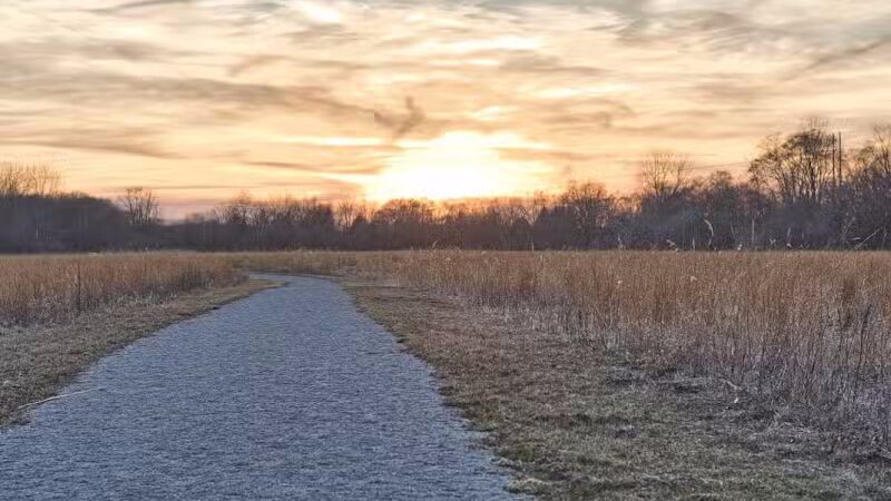 Ansted Park - Temperance,