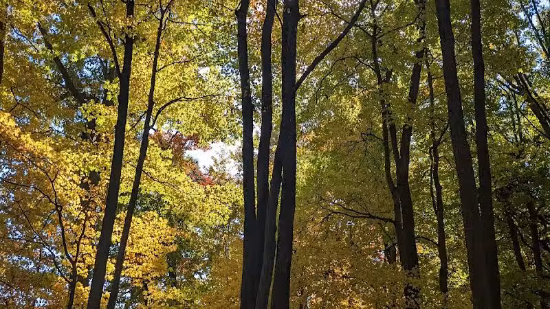 Ansted Park - Temperance,