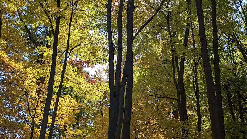 Ansted Park - Temperance,