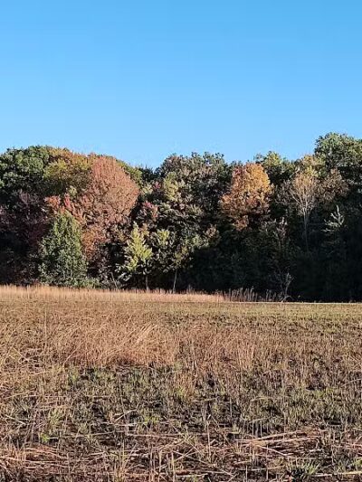 Ansted Park - Temperance,