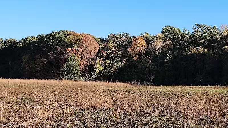 Ansted Park - Temperance,