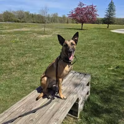 Indian Creek Park - Temperance,