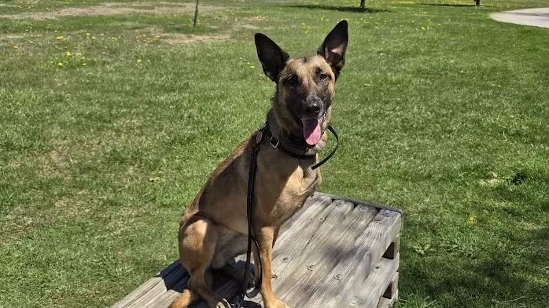 Indian Creek Park - Temperance,