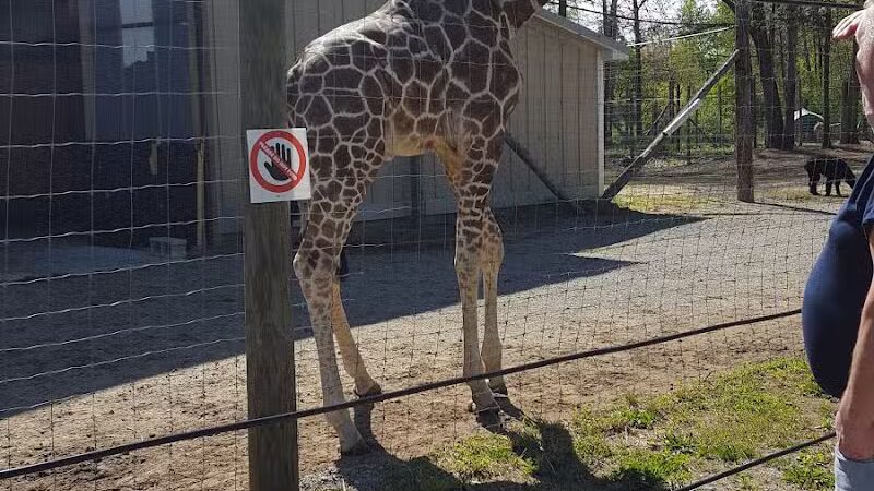 Indian Creek Park - Temperance,