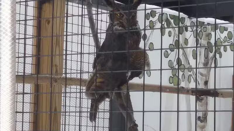 Indian Creek Park - Temperance,