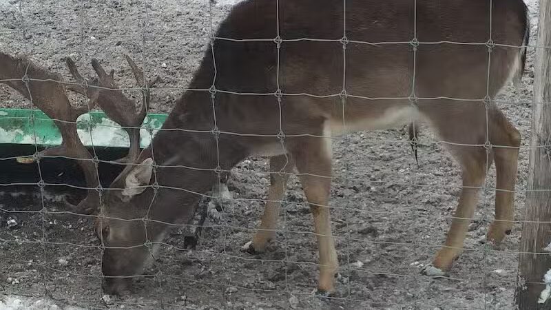 Indian Creek Park - Temperance,
