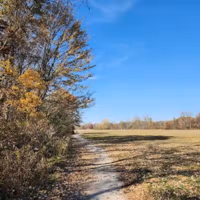 Indian Creek Park - Temperance,