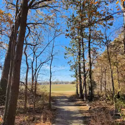 Indian Creek Park - Temperance,