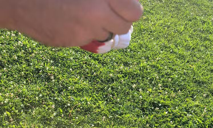 Samaria Park - Temperance,