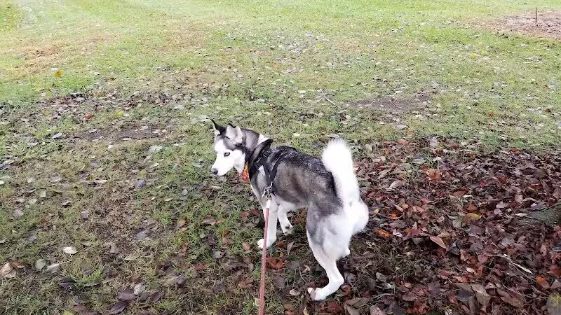 Vienna Park - Temperance,