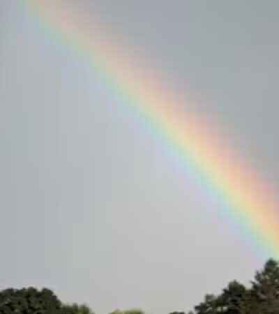 Vienna Park - Temperance,