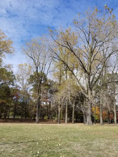 Vienna Park - Temperance,