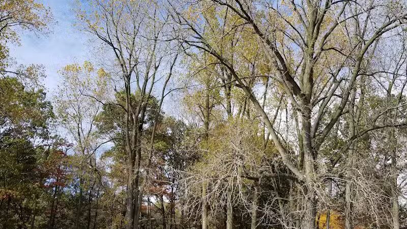 Vienna Park - Temperance,