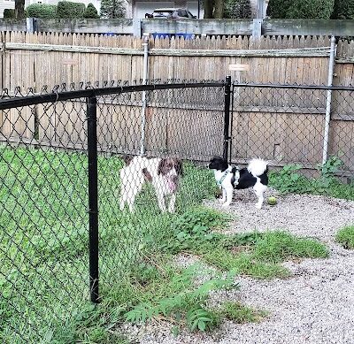 Tenafly Dog Park - Tenafly, NJ