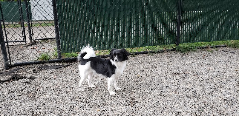 Tenafly Dog Park - Tenafly, NJ